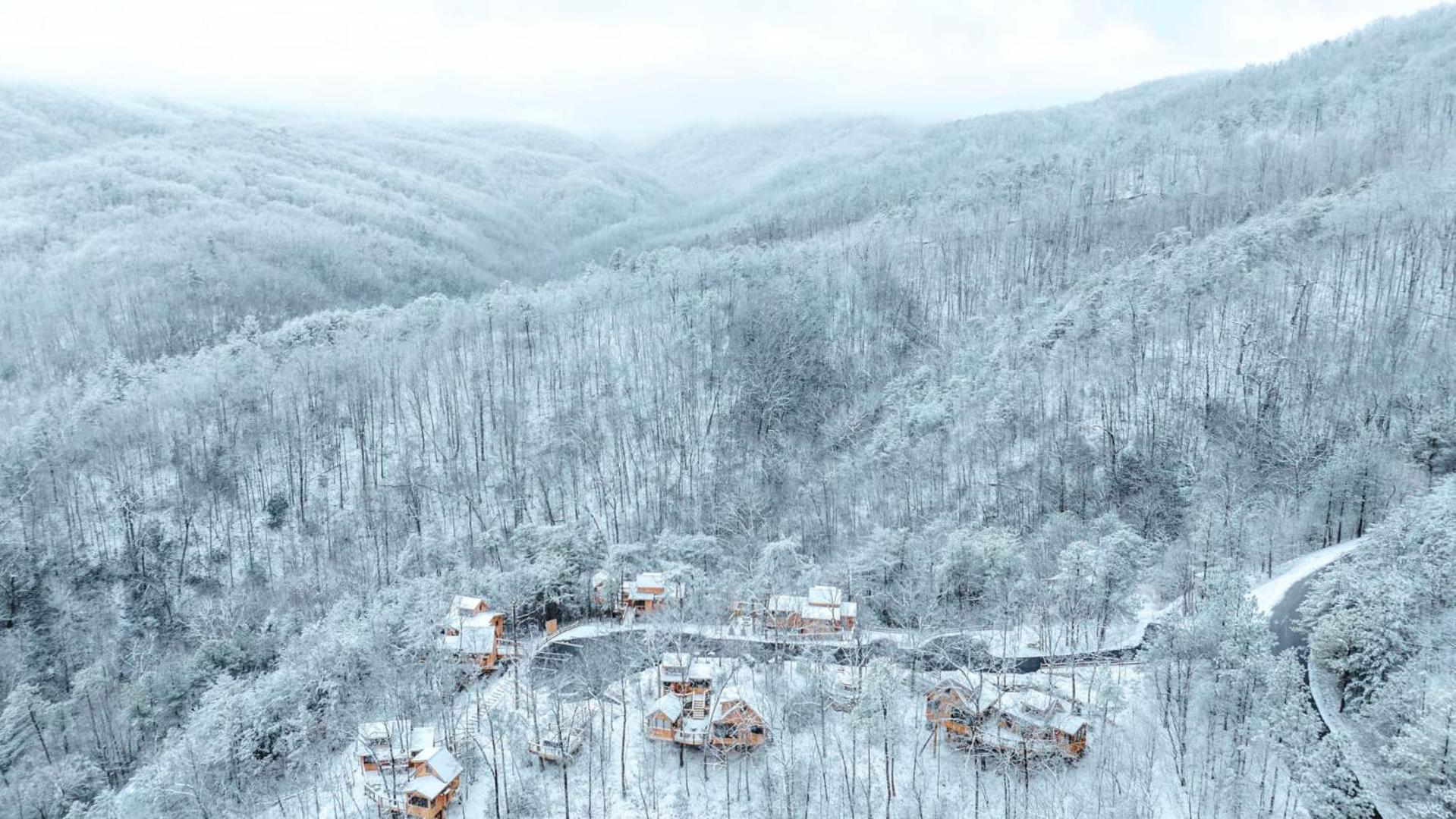 The Moosewood In Treehouse Grove At Norton Creek Villa Gatlinburg Dış mekan fotoğraf